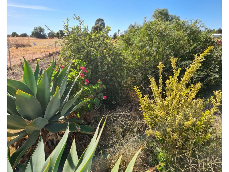 36/14 Andrews Ave, York WA 6302