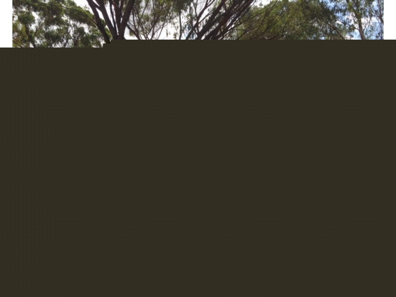 20 AYOUB, York WA 6302