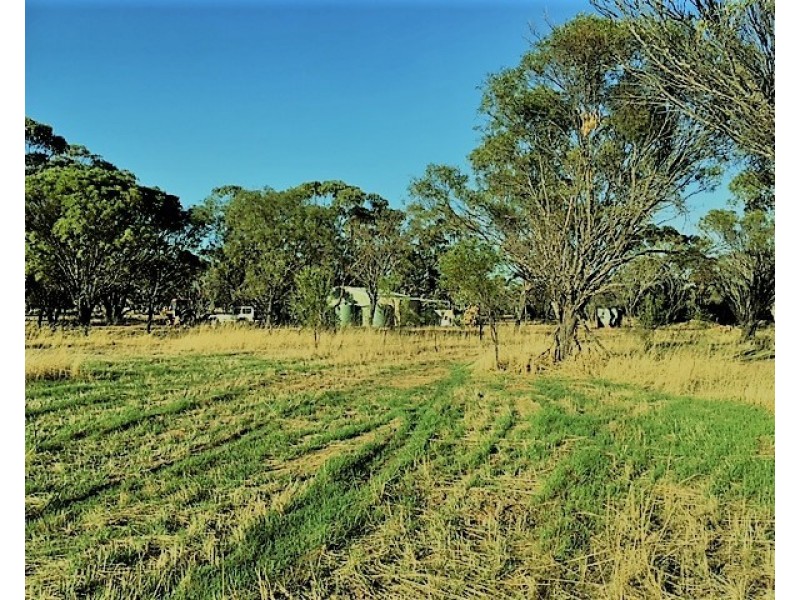 1596 Boggling Road, York WA 6302