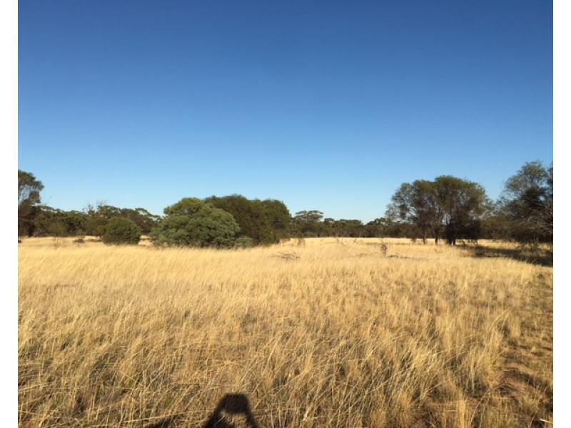 1596 Boggling Road, York WA 6302