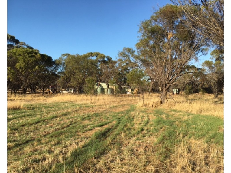 1596 Boggling Road, York WA 6302