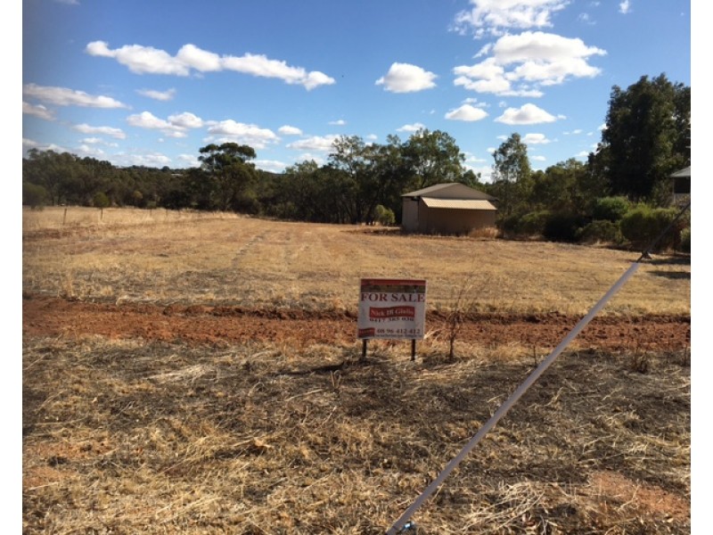 81 Newcastle street, York WA 6302