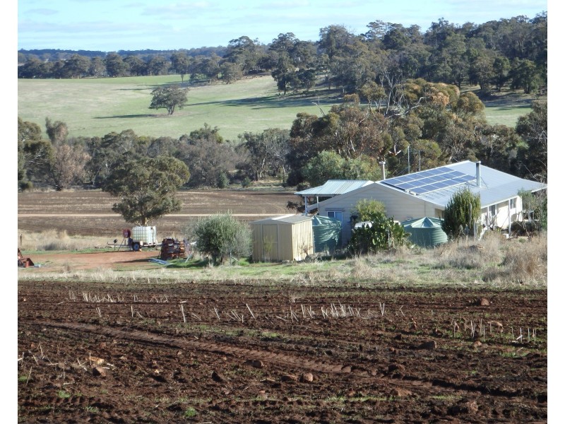 475 Buckingham road, Jelcobine WA 6306