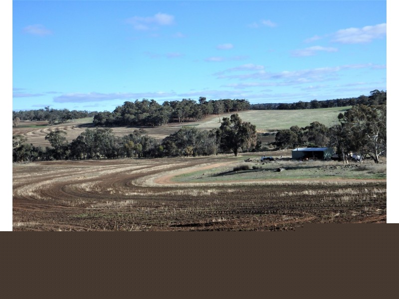 475 Buckingham road, Jelcobine WA 6306