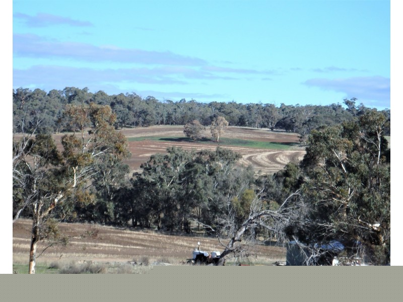 475 Buckingham road, Jelcobine WA 6306