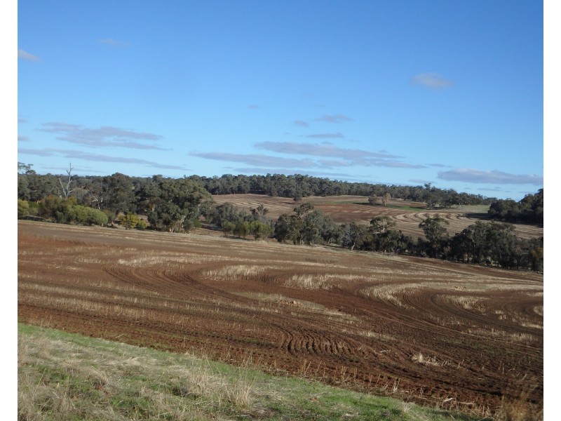 475 Buckingham road, Jelcobine WA 6306