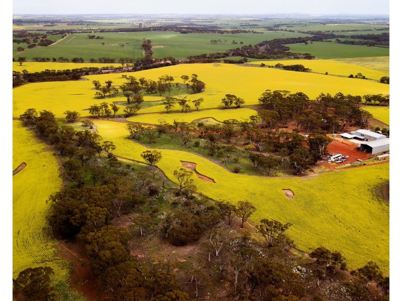 410 GIMBLE ROAD, Cunderdin WA 6407
