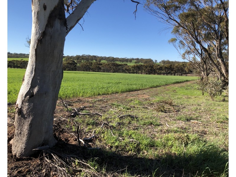 410 GIMBLE ROAD, Cunderdin WA 6407