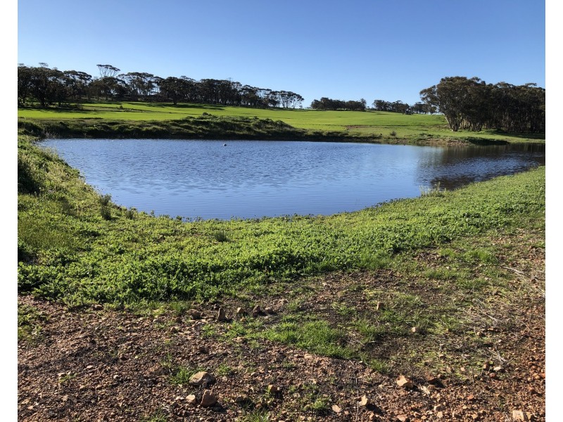 410 GIMBLE ROAD, Cunderdin WA 6407