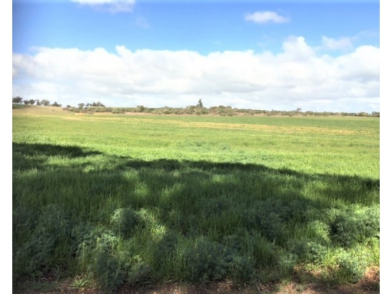 885 WESTDALE, Beverley WA 6304