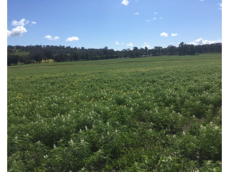 885 WESTDALE, Beverley WA 6304