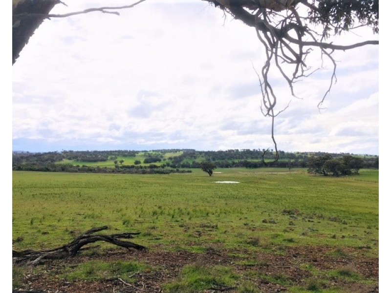 885 WESTDALE, Beverley WA 6304