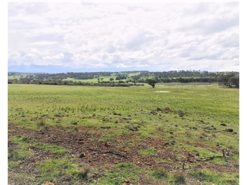 885 WESTDALE, Beverley WA 6304