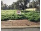 102 GIORGIANA STREET, York WA 6302
