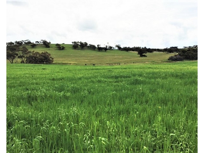 891 HOBBS ROAD, Westdale WA 6304