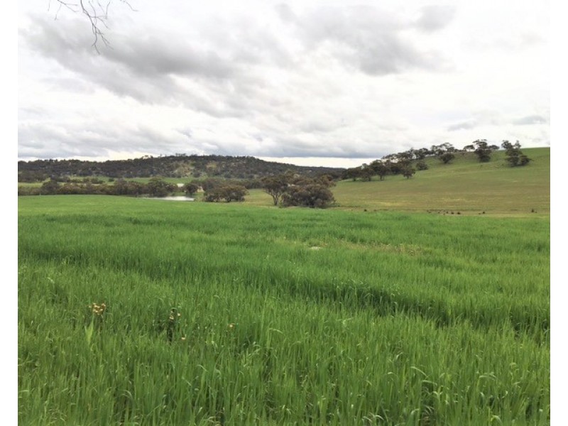 891 HOBBS ROAD, Westdale WA 6304