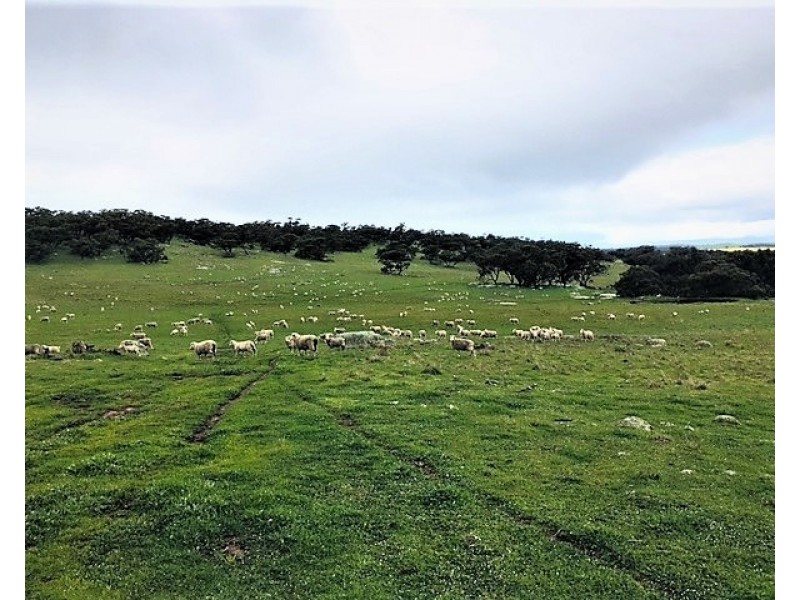 891 HOBBS ROAD, Westdale WA 6304