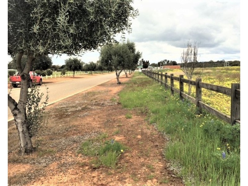 127 NEWCASTLE STEET, York WA 6302