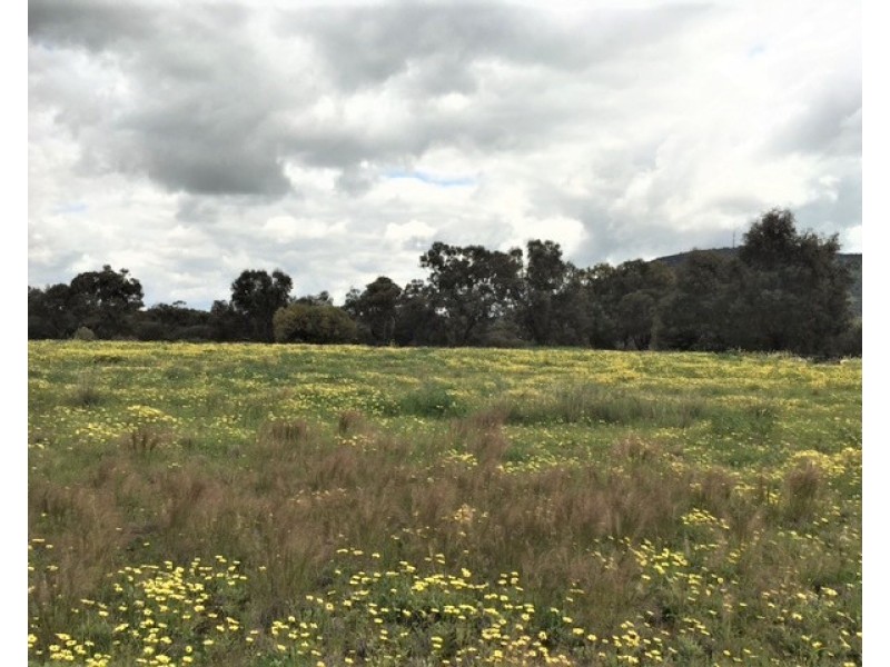 127 NEWCASTLE STEET, York WA 6302