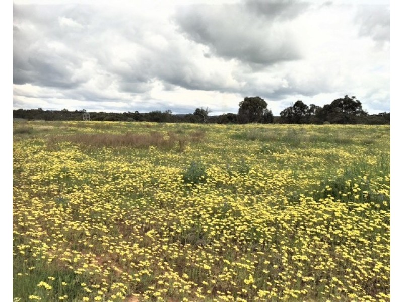 127 NEWCASTLE STEET, York WA 6302