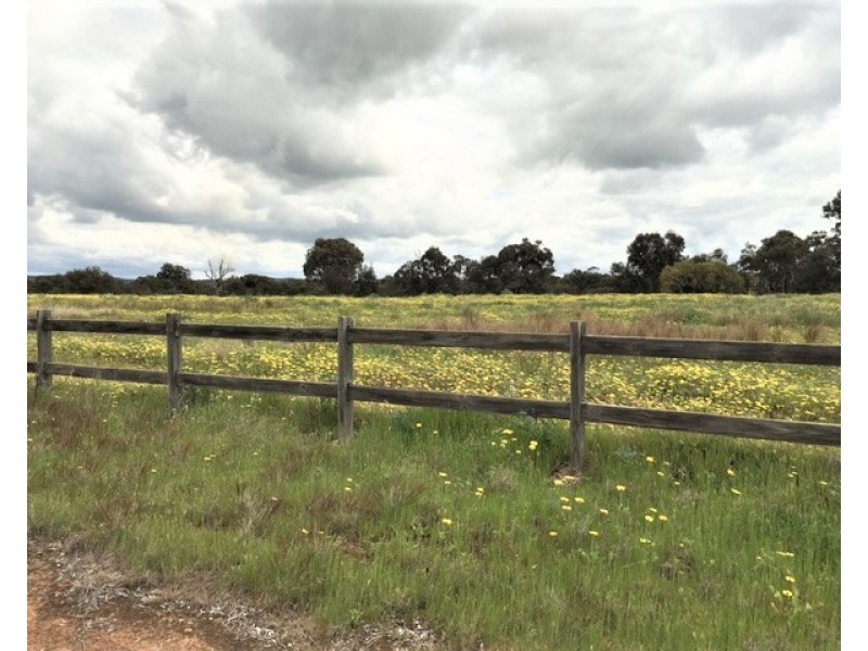 127 NEWCASTLE STEET, York WA 6302