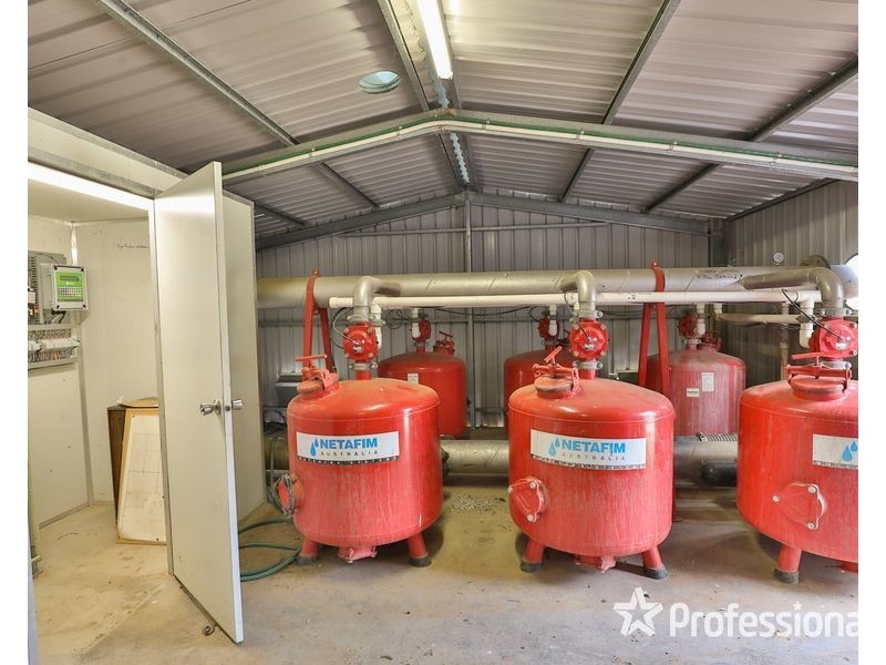 6 Smiths Road, Ellerslie NSW 2729