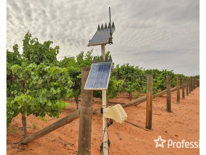 6 Smiths Road, Ellerslie NSW 2729