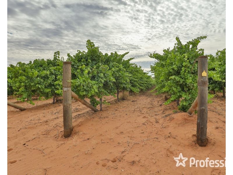 6 Smiths Road, Ellerslie NSW 2729