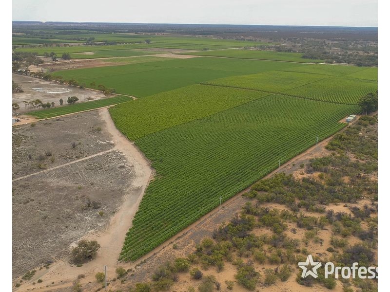 6 Smiths Road, Ellerslie NSW 2729