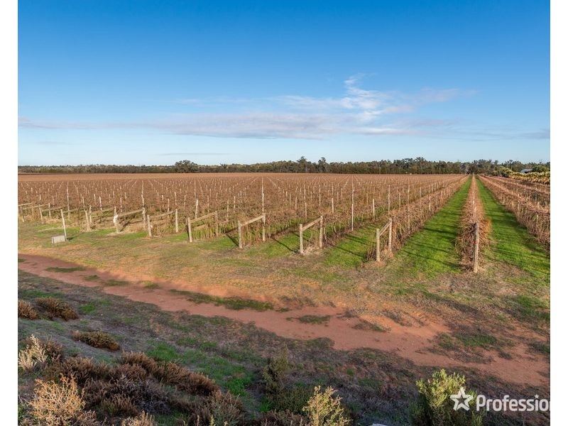 2756 Tapalin Mail Road, Euston NSW 2737