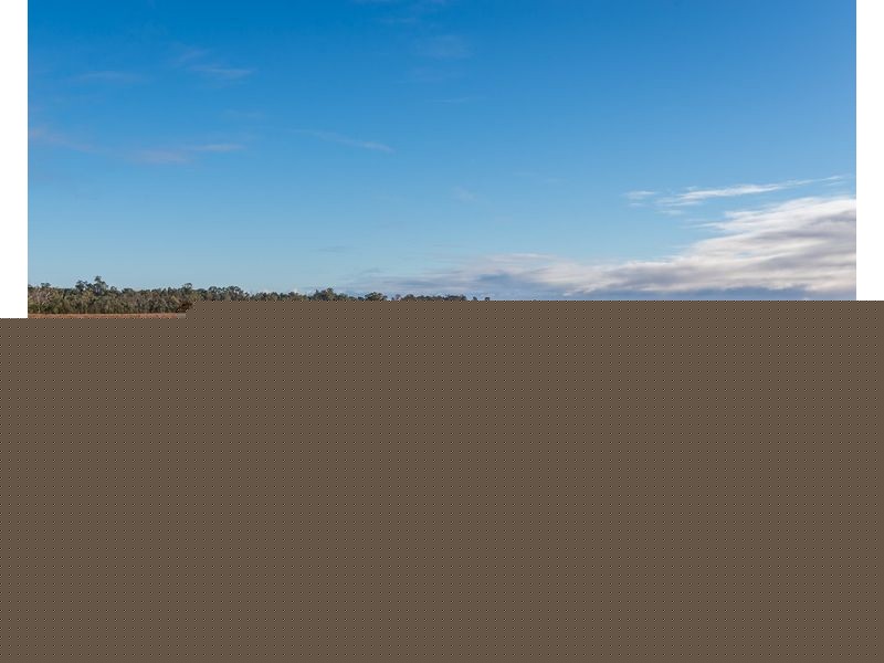 2756 Tapalin Mail Road, Euston NSW 2737