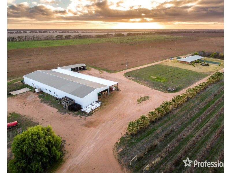 2756 Tapalin Mail Road, Euston NSW 2737