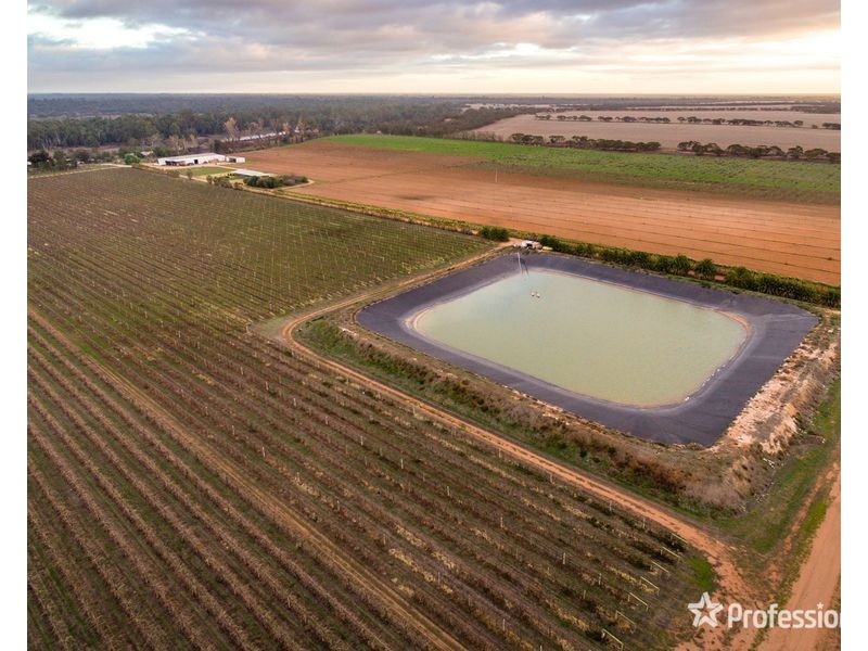 2756 Tapalin Mail Road, Euston NSW 2737