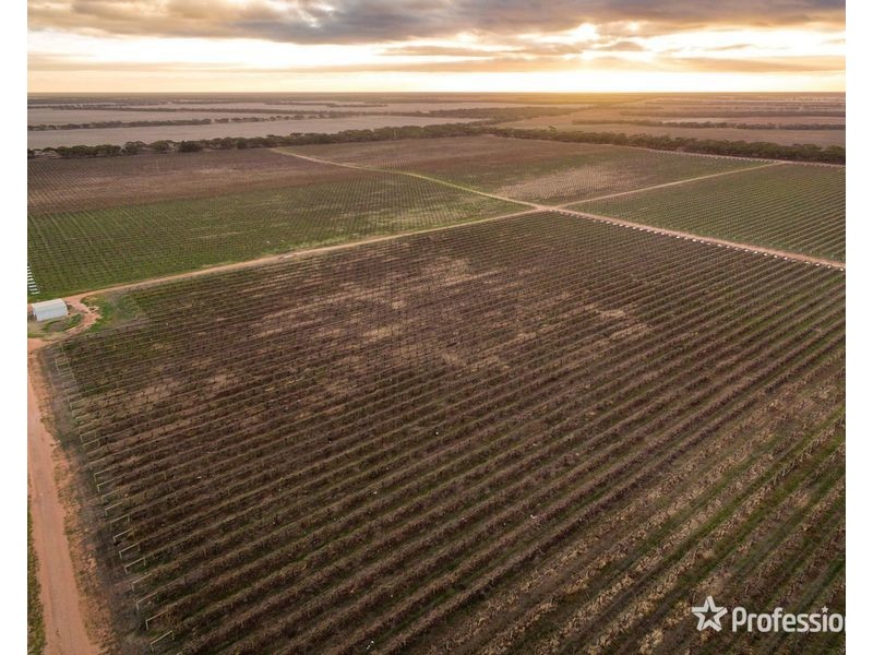 2756 Tapalin Mail Road, Euston NSW 2737