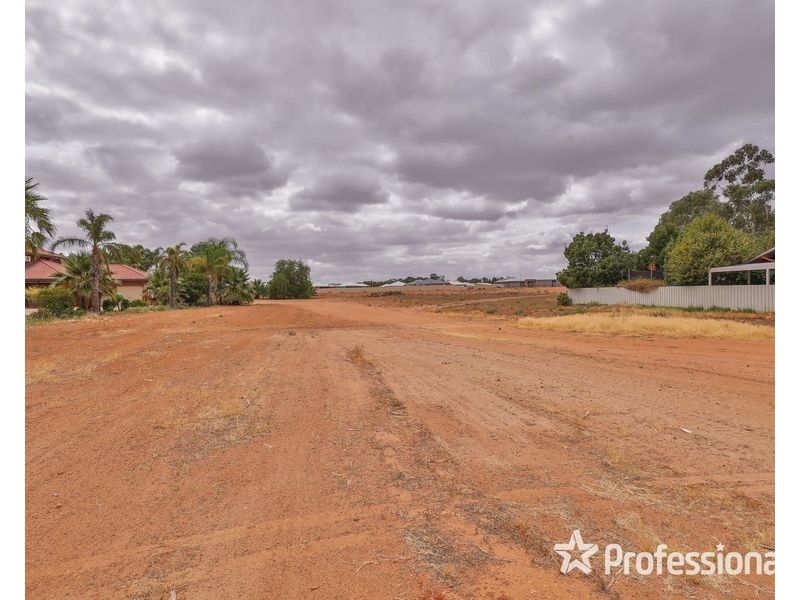 2085 Fifteenth Street, Irymple VIC 3498