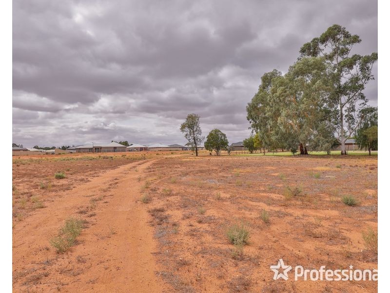 2085 Fifteenth Street, Irymple VIC 3498