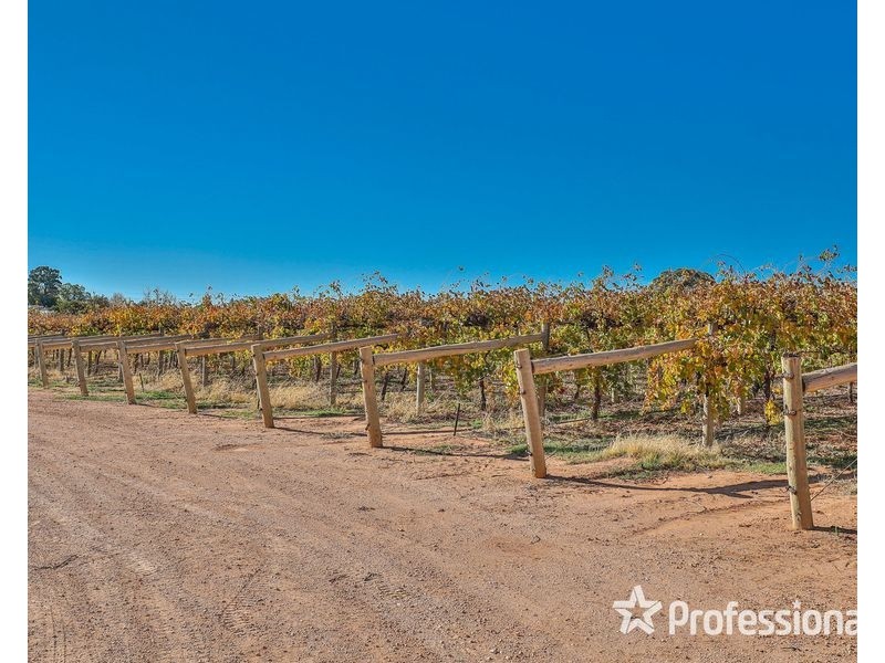 8514 Calder Highway, Red Cliffs VIC 3496