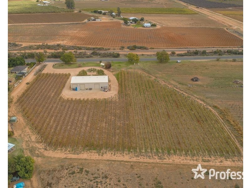 8514 Calder Highway, Red Cliffs VIC 3496