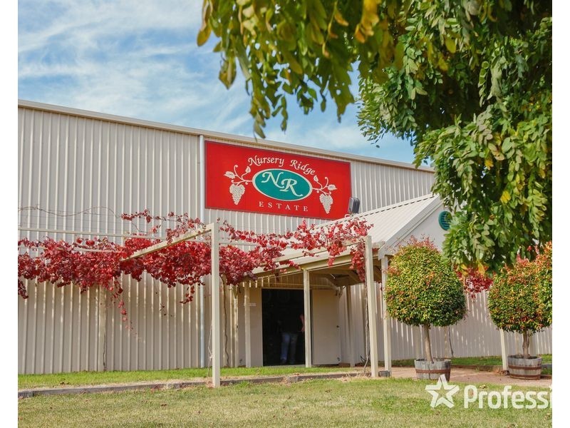 8514 Calder Highway, Red Cliffs VIC 3496