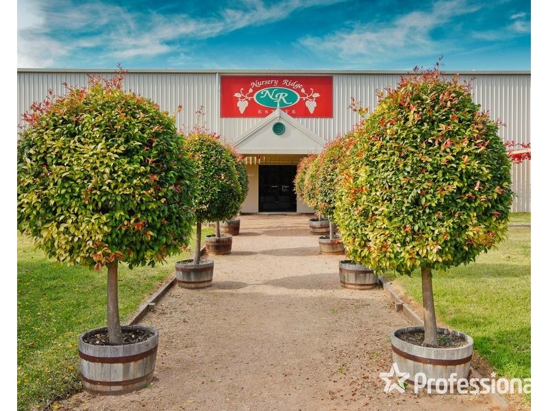 8514 Calder Highway, Red Cliffs VIC 3496