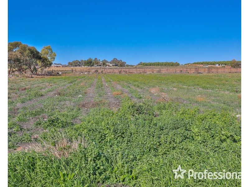 1214 Cowra Avenue, Irymple VIC 3498