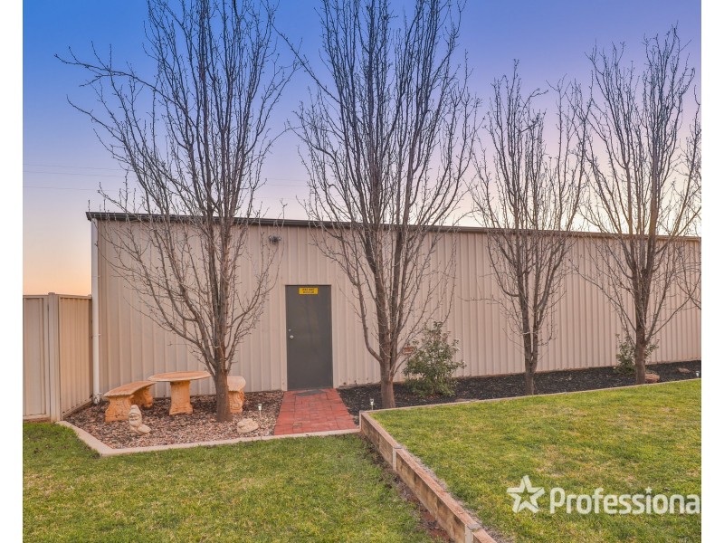 63 Fern Avenue, Irymple VIC 3498