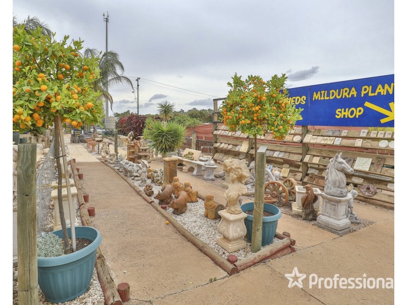 98 Seventh Street, Mildura VIC 3500