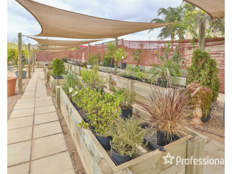 98 Seventh Street, Mildura VIC 3500