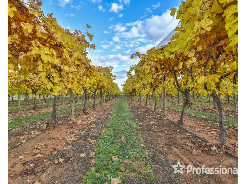 42 Daunts Road, Sunnycliffs VIC 3496