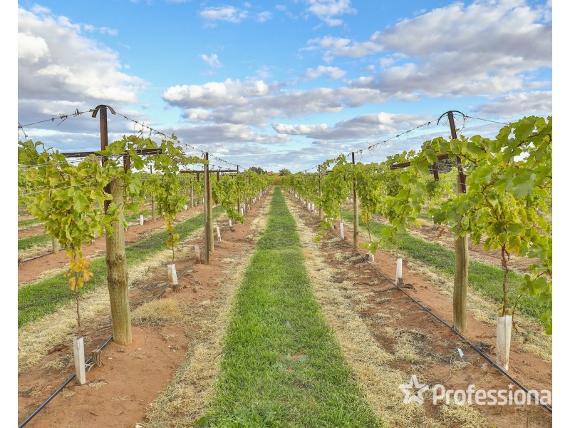 42 Daunts Road, Sunnycliffs VIC 3496