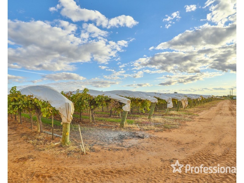 42 Daunts Road, Sunnycliffs VIC 3496