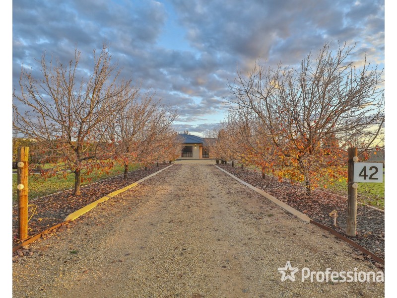 42 Daunts Road, Sunnycliffs VIC 3496