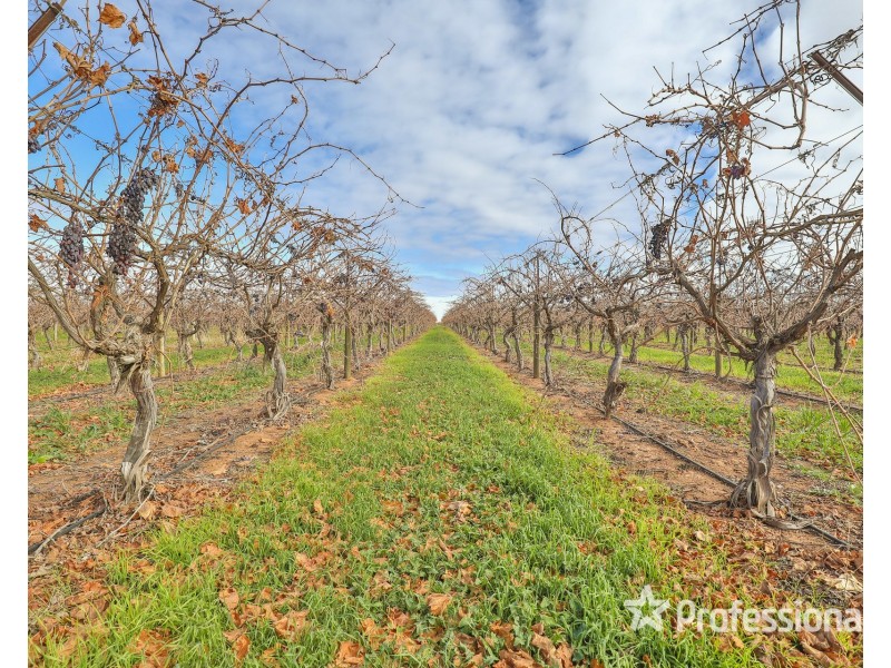 248 Sunnycliffs Crescent, Sunnycliffs VIC 3496