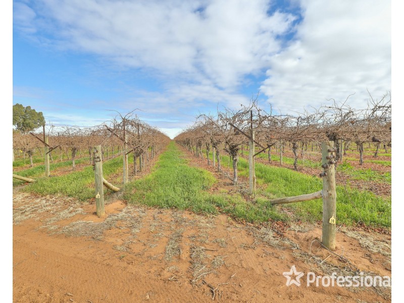 248 Sunnycliffs Crescent, Sunnycliffs VIC 3496